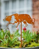 Rustic Border Collie Artistic Plant Pot Spike - Set of Two Rustic Border Collie Artistic Plant Pot Spike - Set of Two