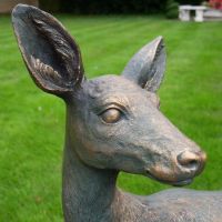 Rustic Bronze Doe Garden Sculpture Close-Up