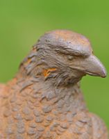 Rustic Cast Iron Eagle Close Up Rustic Cast Iron Eagle Close Up