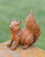 Rustic Cast Iron Freestanding Squirrel Garden Sculpture in Situ