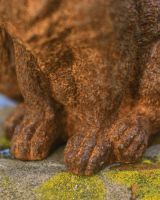 Close-Up of Rustic Cast iron Baby Fox Garden Sculpture