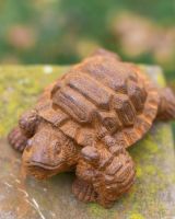 Rustic Cast Iron "Parent & Hatchling" Tortoise Garden Sculpture in Situ Rustic Cast Iron "Parent & Hatchling" Tortoise Garden Sculpture in Situ