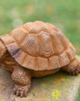 Close-Up of Rustic Finish