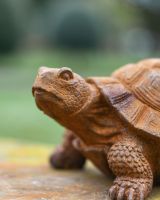 Close-Up of Rustic Cast Iron Baby Tortoise Garden Sculpture