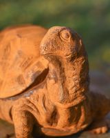 Close-Up of Rustic Cast Iron Tortoise Garden Sculpture - Facing Right Close-Up of Rustic Cast Iron Tortoise Garden Sculpture - Facing Right