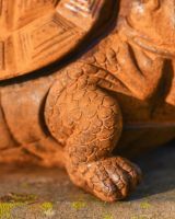 Close-Up of Detail on Cast Iron Tortoise Sculpture Close-Up of Detail on Cast Iron Tortoise Sculpture