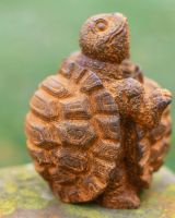 Close-Up of Rustic-Effect Finish