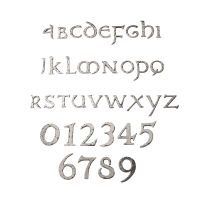 Rustic Chrome letters & numbers