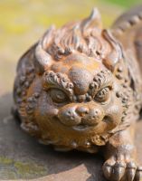 Rustic Close Up of Lion  Rustic Close Up of Lion