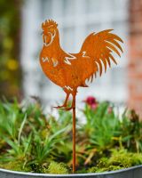 Rustic Cockerel Artistic Plant Pot Spike - Set of Two