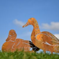 Close-up of the Rustic Finish on the Ducks 