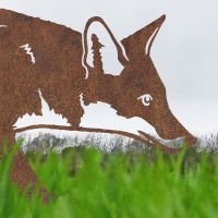 Close up of head on Fox Silhouette Close up of head on Fox Silhouette