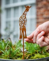 Rustic Giraffe Artistic Plant Pot Spike - Set of Two with hand in shot for scale