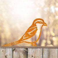 Rustic Great Grey Steel Fence Topper in Situ Rustic Great Grey Steel Fence Topper in Situ