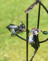 Rustic Hand Painted Owl Duo 