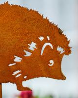 Rustic Hedgehog Artistic Plant Pot Spike - Set of Two close up of head