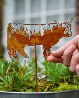 Rustic Highland Cow Artistic Plant Pot Spike - Set of Two with hand in shot for scale