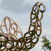 Close-up of the Trunk of the Elephant Close-up of the Trunk of the Elephant