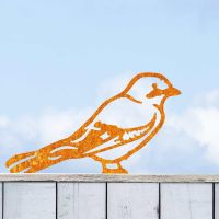 Rustic Jay Bird Steel Fence Topper in Situ