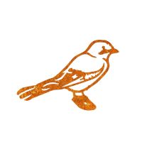 Close-Up of Rustic Jay Bird Steel Fence Topper