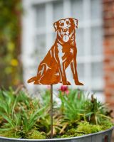 Rustic Labrador Artistic Plant Pot Spike - Set of Two