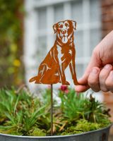 Rustic Labrador Artistic Plant Pot Spike - Set of Two with hand in shot for scale