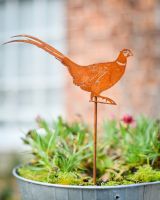 Rustic Pheasant Artistic Plant Pot Spike - Set of Two