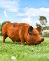 Rustic Pig Cast Iron Sculpture