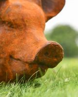 Close up of Rustic Pig Cast Iron Sculpture snout