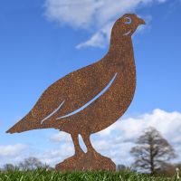 Rustic Red Grouse Silhouette in Situ