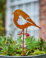 Rustic Robin Artistic Plant Pot Spike - Set of Two