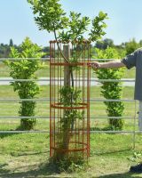 Scale image of ornate rustic finish tree guard Scale image of ornate rustic finish tree guard