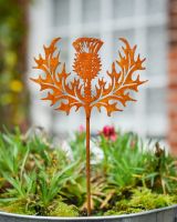 Rustic Scottish Thistle Artistic Plant Pot Spike - Set of Two 