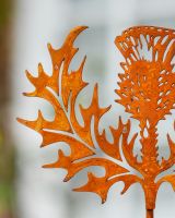 Rustic Scottish Thistle Artistic Plant Pot Spike - Set of Two close up of leaf