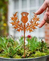 Rustic Scottish Thistle Artistic Plant Pot Spike - Set of Two with hand ijn shot for scale