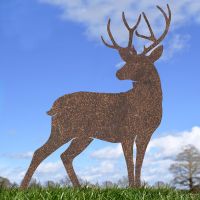 Rustic Stag Silhouette in Situ