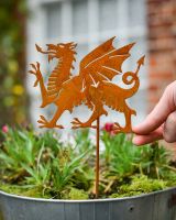 Rustic Welsh Dragon Artistic Plant Pot Spike - Set of Two with hand in shot for scale