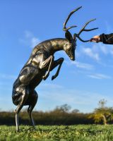 Scale image of Black and Gold Rutting Stag Sculpture
