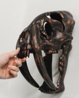 Sabre-Toothed Tiger Skull Cast Aluminium Wall Art with hand in shot for scale Sabre-Toothed Tiger Skull Cast Aluminium Wall Art with hand in shot for scale