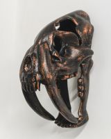 Sabre-Toothed Tiger Skull Cast Aluminium Wall Art side view of skull Sabre-Toothed Tiger Skull Cast Aluminium Wall Art side view of skull