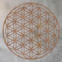 Geometry "Flower of Life" Steel Wall Art on a Rustic Wall