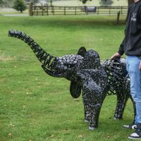 "Sambaku" Garden Elephant Sculpture to Scale