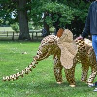 "Sambaku" Gold Garden Elephant Sculpture to Scale