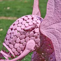 Close-up of the Detail on the Face on the "Sambaku" Pink Garden Elephant Sculpture