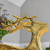 Close up of stag"s head and antlers 