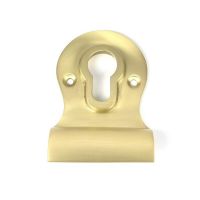 Close-Up of Satin Brass Roman Door Pull - 95mm x 63mm