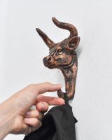 Scale in situ photo of Copper Bull Hook Scale in situ photo of Copper Bull Hook