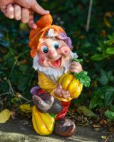 Scale image of colourful garden gnome statue