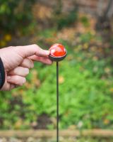 Scale image of red suncatcher plant pot stake