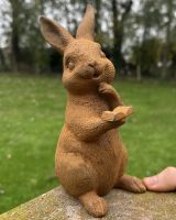 Rustic Cast Iron Garden Rabbit Statue with Book